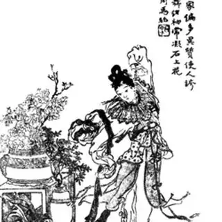 赵飞燕